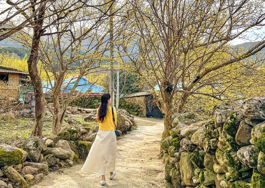 AD_4nXejWrcQQ2kz5L48w5TlG2lh-430MCmqE7p-f8eiGIHeBqWFFO7RPLOziuVYnzI3jBckbLIi9_yv0qvBGB6dM8qodIEONXiY7Vbr9BcYHAr8LJzx89j34BpSiZ0NIkA0HVqz_CpE?key=fnsJTpEm4Zubfd0ePI8AEREY