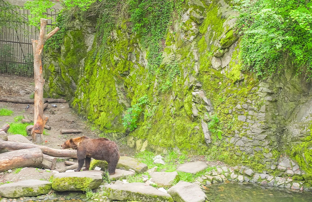 AD_4nXeJlpwYGH1ew3egGOqGDl3unFcKM4UB3PIqyyvQEbIoVIxXUIDucKw5AHr0pmjKfQyYXEb56Yug20J4MDaypsL-z9tQy6v9VttQHHvQtb16YkToRopKSFZMNzIrW8At4eMVz4OtWw?key=6KmzudPfT1odDFlycficXeY8