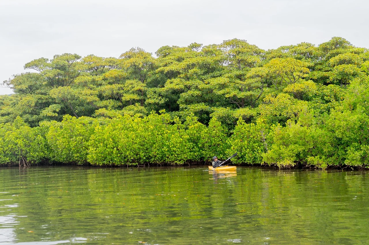 AD_4nXetnlnov2jCI-cXmAegYG8LXOS06xoC6MG7qy8KSzxMWEMg3G2ZWqo7bpO9ApgjwfxNXmKT_w7QmsVWlYR5NZZT1aPdvh2aOpTUs1VARp3YH-vqtngX-2PtD8AP7Y7udiZeXWSV?key=no2Ienb7MqGa4TE8uLF45OAD