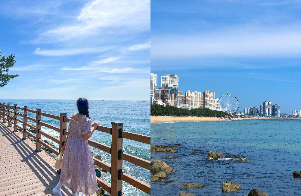 AD_4nXdvazt7oPm4wAwqRFRvo_4ZjKdHxaRKfwmEo_ck0iH9s8RiKNNVVdm_jLxhph5I75bJ5tqcwNaZ5nWlHXPeo7yEBHszXK1esi2doX_Ik8fdmqTJFluxkvWjFRChRtUoL0qss3-M?key=srMPxCTEW1FMNM2Sp5oSCQ