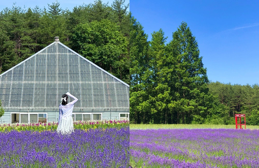 AD_4nXf-mQ3e_CMidm22OeXedx06Fkkjvp8Fm12uKx1TQKx1f5JsinWCUK3QzrFV4-70jFjPMU6su-8lMee79b-DtvAINA-BxQQgSOoRL7OcY1wPd-1FRKR8gsF7KPgw5DzeSIjN7VTuzw?key=srMPxCTEW1FMNM2Sp5oSCQ