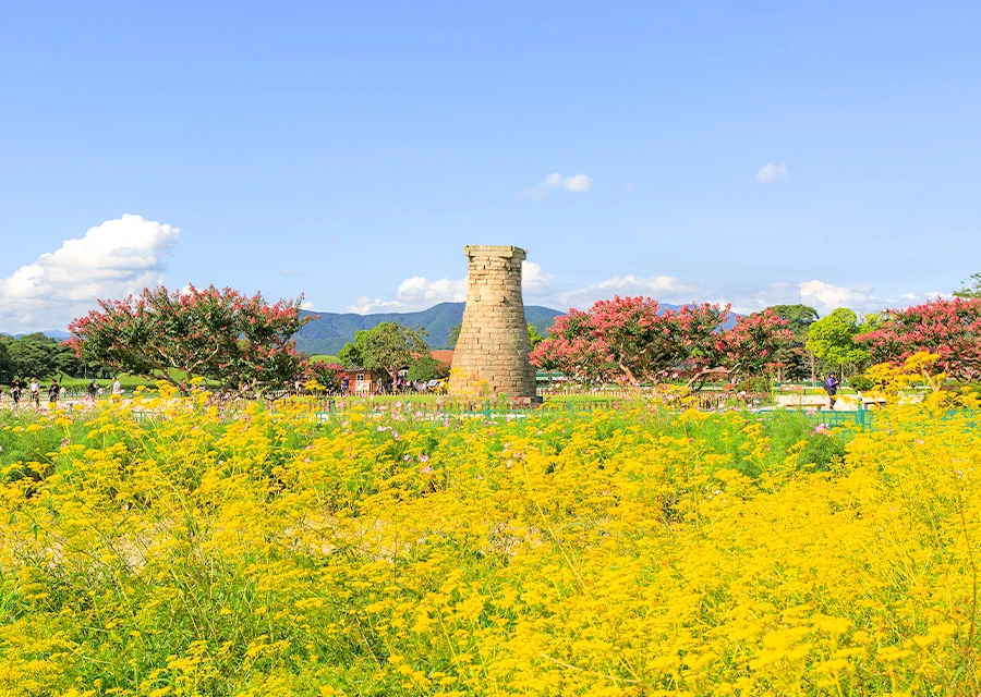 AD_4nXdGbwkUvLw-59HylIutrgTQcqzBeAKG9stX-W4xbkUz67TDtbxFvqZus1osI8BlEHNQ3kft7uBwdQgpXXBZly_ORcb3rpXuTcTJ1lYKrs1OPWEksuXw2kRkX54YuockHDAVTs0WlQ?key=fnsJTpEm4Zubfd0ePI8AEREY