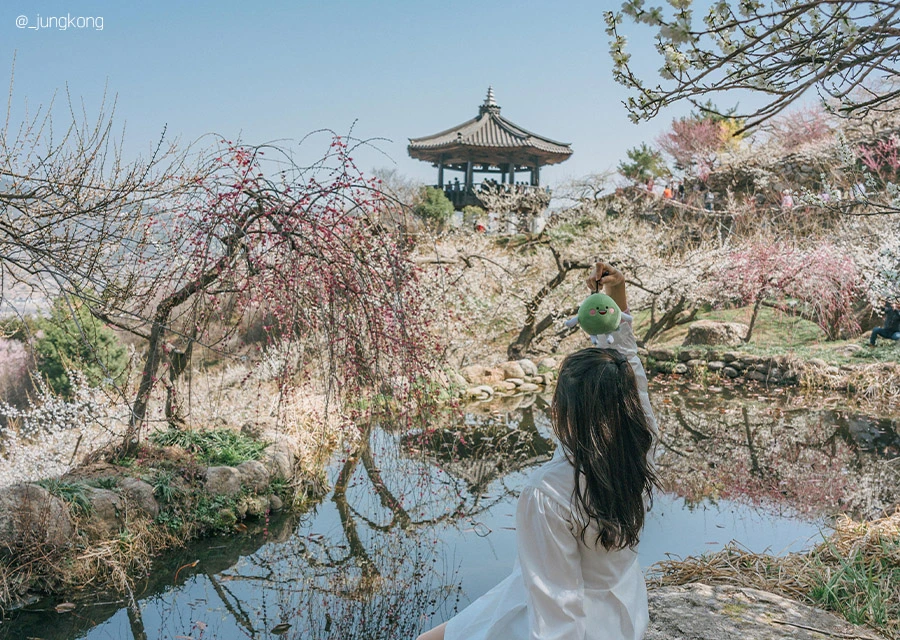 AD_4nXfMcn_8eX3NrHgCjiZa15wXeBdLprMmw8nZab9k3-g4bkDR6C4iK3F7TqCD4rCFH__qwD3xiQlStd7SPMpWvvhJHGVvcKZDFXQ-YJXBs2CuNd-N-umwZK7dknoKG5cmH8UGjZFCSw?key=fnsJTpEm4Zubfd0ePI8AEREY