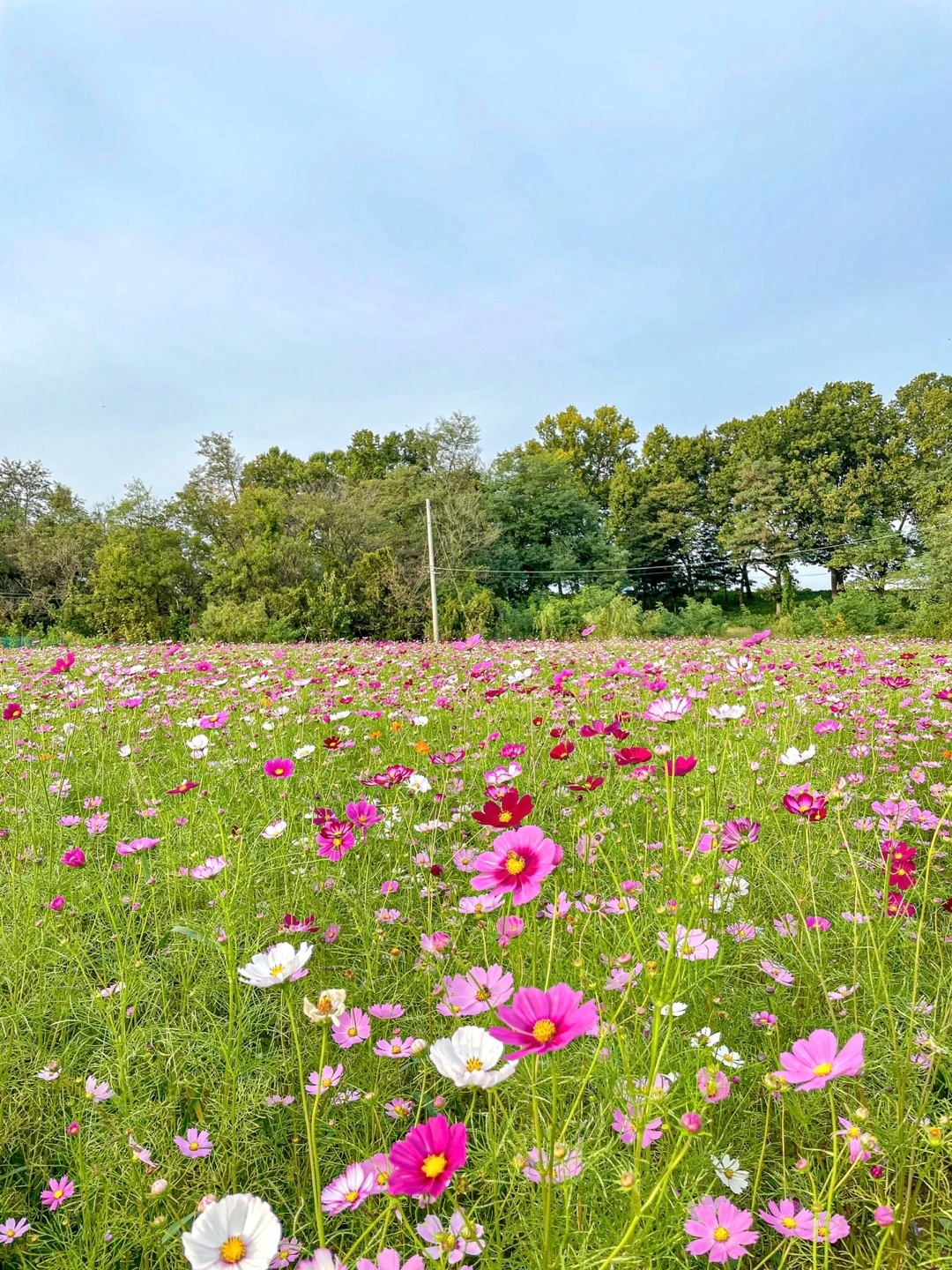 KakaoTalk_Photo_2022-11-02-20-12-49 007.jpeg