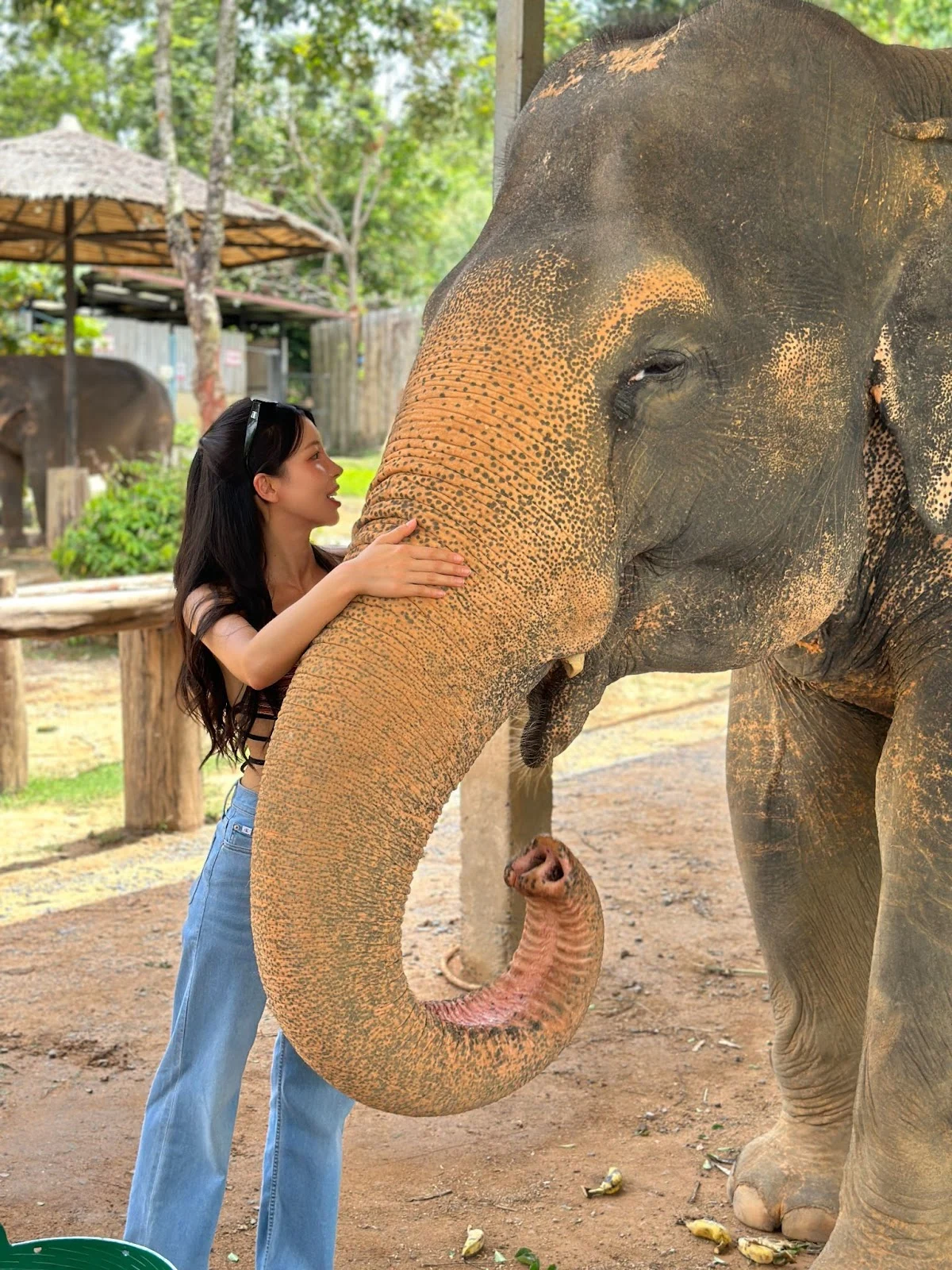 AD_4nXfpf_YWtna3NcfFl2eaOdD2sGeERBPutJA0QTOj5wn5e6oqek9Kc_dQdGLq-sxWUhL_No6uLIpqmyxLofJ06Sh0xiPkv22vhGpz7QMu8QPp5ypqsHisadzzNddKbWCmRDof7i5f?key=9UnKGKTTNTZELUqIVFfCgg