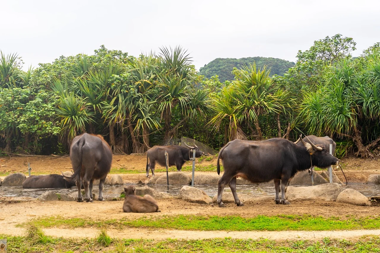 AD_4nXeiiY9P9x62OiOYImsYINZrV_db5PoRV2uC6d-_T99rkkGfSgWFKexf0qR-g9JeUluC-Y63vL5ZU1v4RHcNn5bO_r1eF2vbQnPUlz7h5NbAcOVqk4GTX9ZQdKyrqZNgow3X1-yv_w?key=no2Ienb7MqGa4TE8uLF45OAD