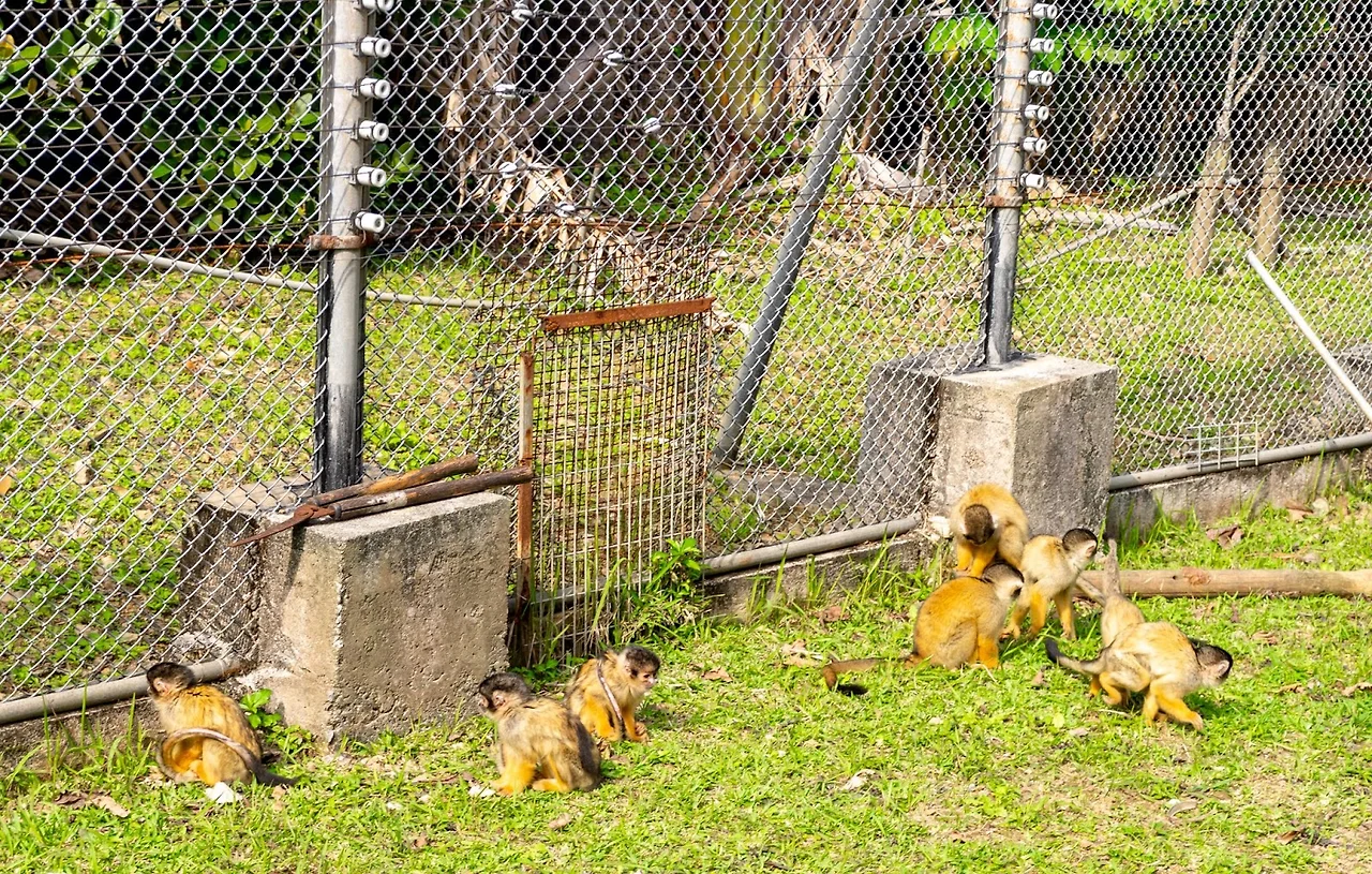 AD_4nXdhsCUExQ1aBJdlaD3J26qkchffFRVgatsq6cL0VQ1XWHjAgzSTAfJlfsJekR4opCl40sNYhICqZ_PJmlzgjzC4frSUJF6b2YYOKNIyVCR1_IltCNtreEQ67r-xfatyFYqsNB1Gqw?key=no2Ienb7MqGa4TE8uLF45OAD