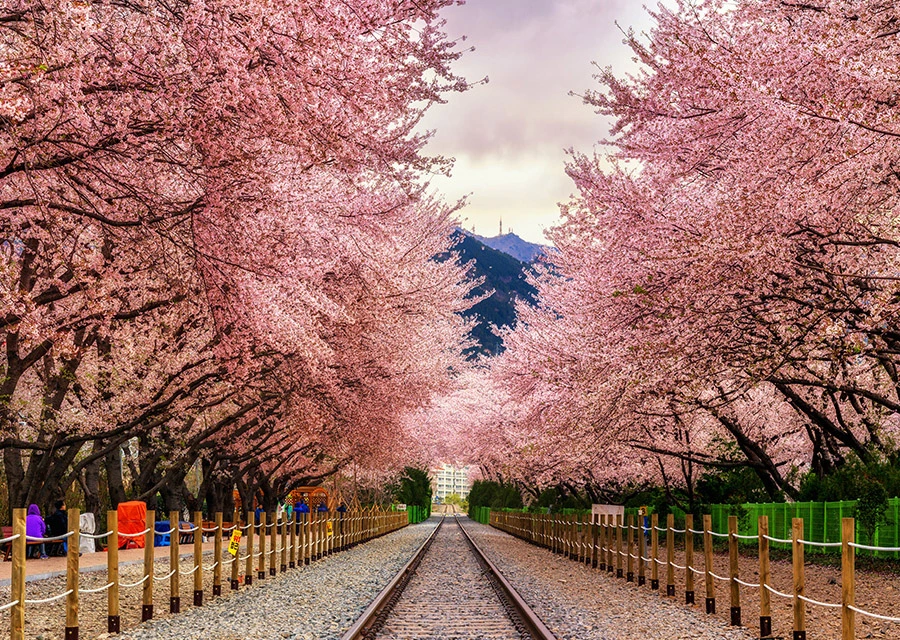 AD_4nXeeYlcjv6m1qBtXo3yTO02gMNJXM8l3_bJE-bRdFYtiZuuUtlFKSoObpa8FEmrS0JVYL2pH8gQXY9_4CBbV0X7o_RP7xfJeeknqIuvHSpYZg4DvwIGNdtcymBkgSoPjGGZ_LlAt?key=fnsJTpEm4Zubfd0ePI8AEREY