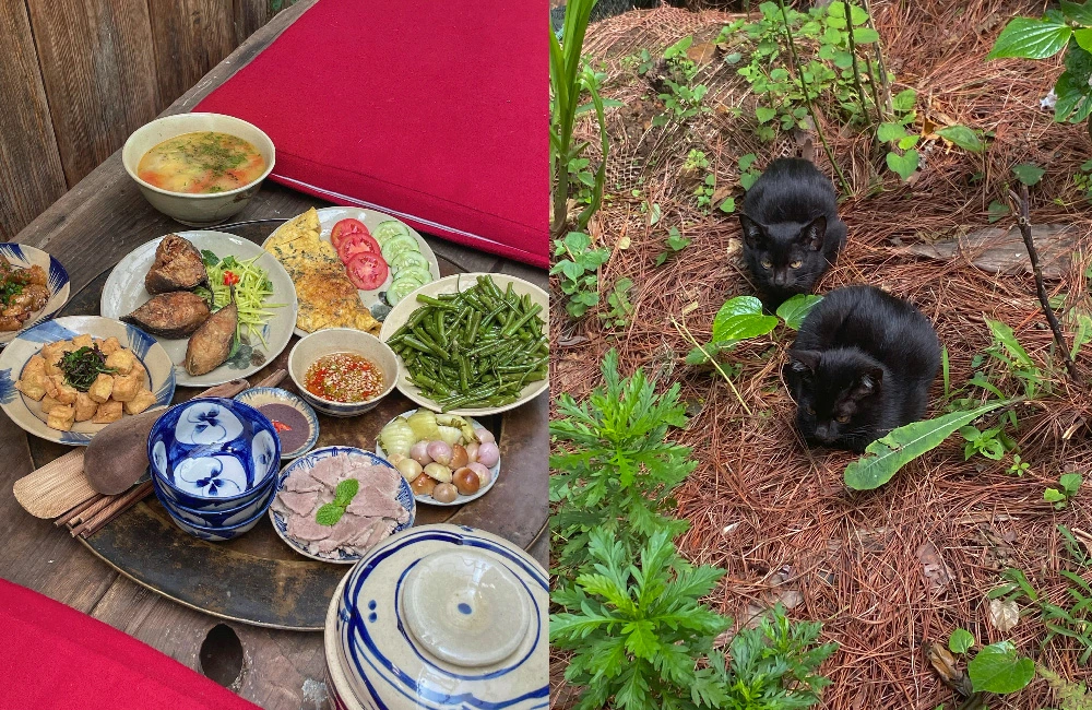 AD_4nXfGFnuTNB6mAtFEvfP4jaq0qXcpNWRENgMRN7x9HkVr_i6aUVRy0uYGzLjp4HQ3A4AwFOonv1xJYijXfE_sIuOyXF-C72NfcTa0ytH2TQHKK_UfSOhMwt0Skq96Qo92wqYA7EaCGA?key=uPhD2qxkTSb-8l1_47Nlmw