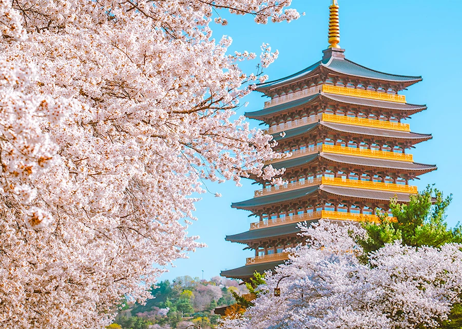 AD_4nXeWIJ1YpM_31k8BlG3BUVb9yN0Vx2c9HOk9zjcOgA-CtJyMi6F2f2zumj4C0mlKbhDQAjdOs9D_Jz6Mvn_b_InTkQ-C1-ANfrZS2nqMeXZ4DZ0tv3ZLqooKbyGYADD4fT2ikECo-Q?key=fnsJTpEm4Zubfd0ePI8AEREY