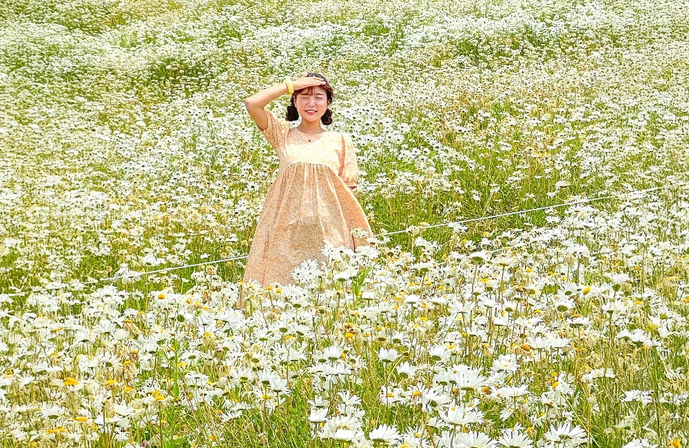 AD_4nXchS6HOu-JYDUS8NP-vkinkrUPNrp2xTIdxfBCDqvViPBvp9uV5aiI_BlC8nZmYfmNWkXmYwzcxjXNqNdGA-GkAPgz4SK0YMUNE4DGGAQBGUVCHJcLxuVHxO2rrCnHmt3R9Y1uX?key=npbHg1R0fhR_o-3Km7W2lg