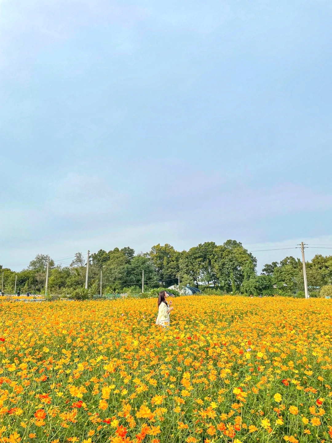 KakaoTalk_Photo_2022-11-02-20-12-49 005.jpeg