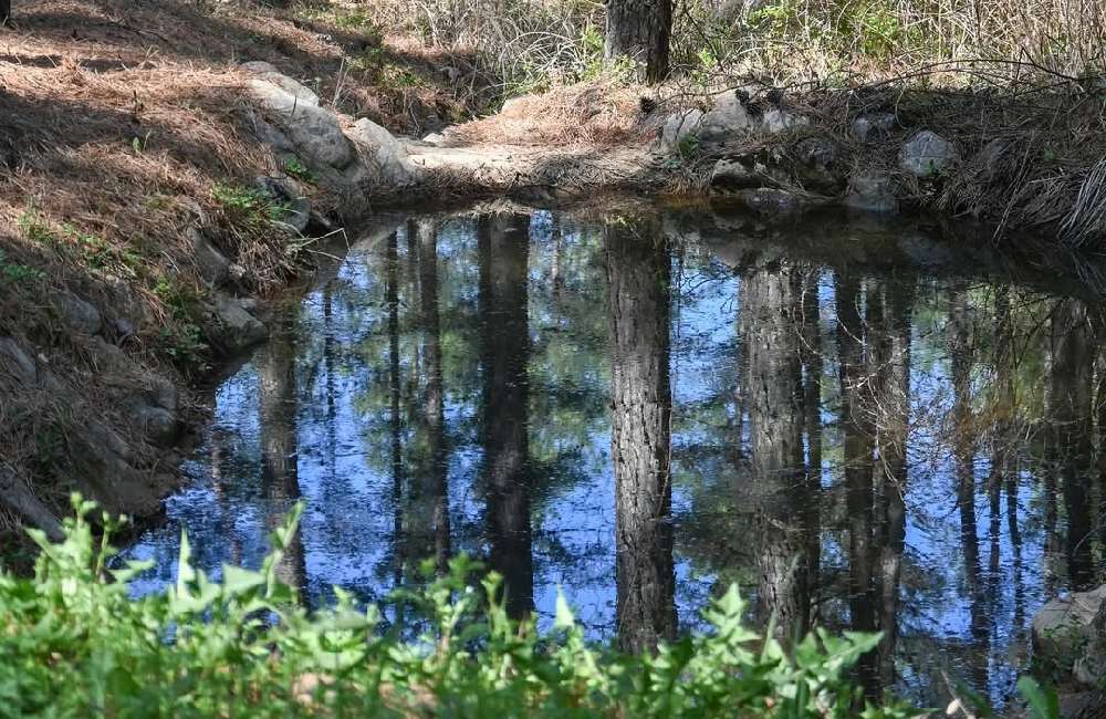 AD_4nXdKcNwE7R4T1DIA-bkq1iCvUKC-08k2Jeul8pI_PrskY-kV9yaBt06kPnmqnsS0BT__5QF_yQLJYw6vHV0gEMwsB2_OA5CPlwAe6V3p8gx_W_9hJAlqhLstYbLwquHxOKxC0Ub-?key=-awj_OmRFTgeKcXXu5onSQ