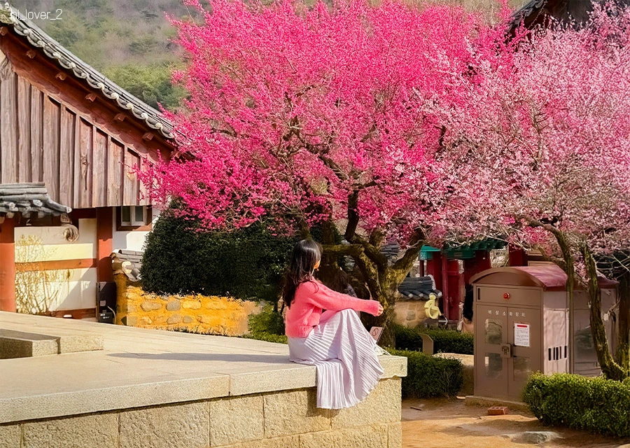 AD_4nXesKzfOk25-V5OLJp1pPSxFIpnuWsBouaaBf8XhglMKlLmUo5zxD60pgwb4N_KCK6tWeCK0zlP9Vj42xxvh6gxMMNLp0NbjOmKbFKQr-o12A3PJmqGSSgoTmPZgf9QOjyJie4DyKA?key=fnsJTpEm4Zubfd0ePI8AEREY