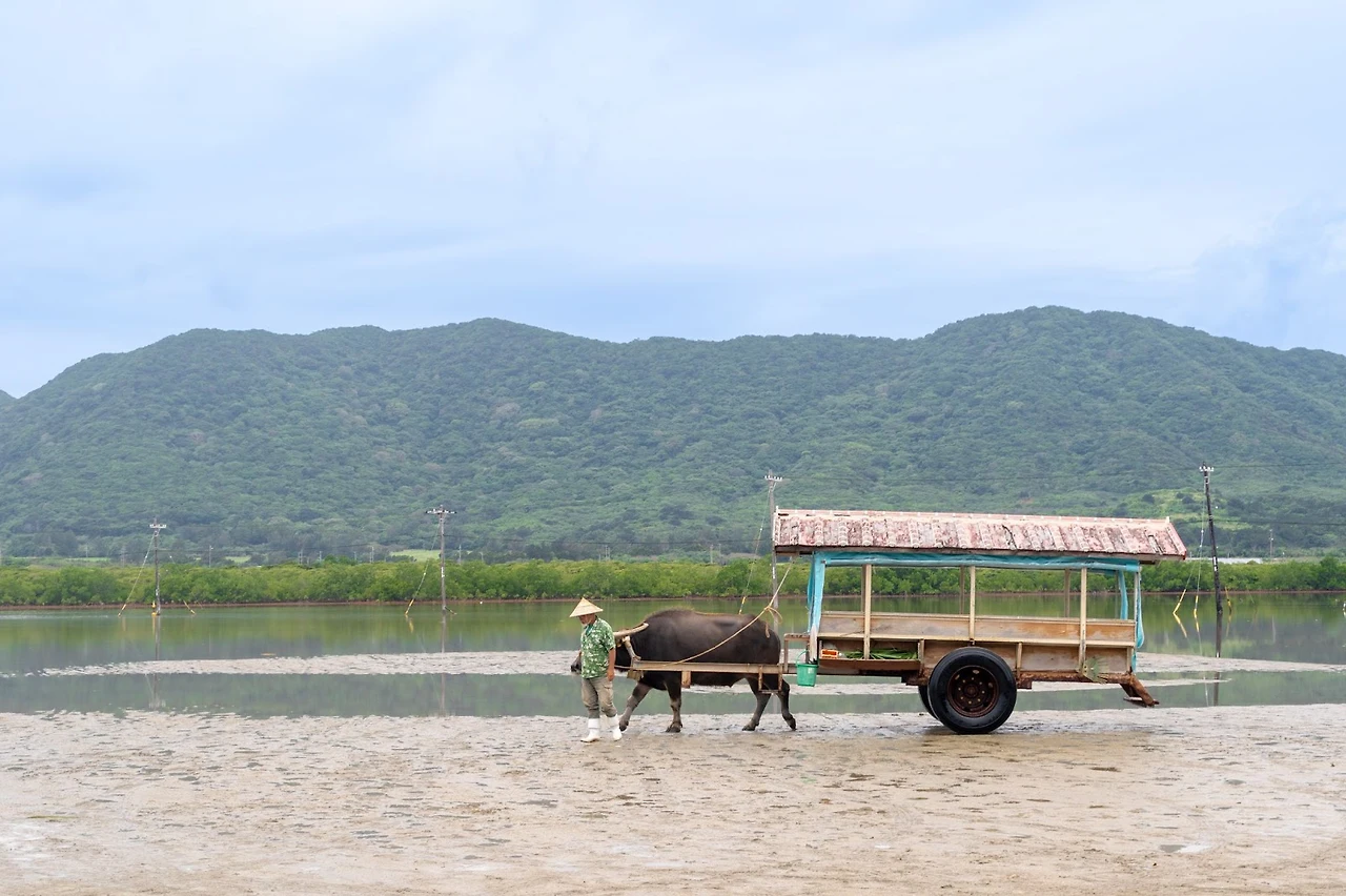 AD_4nXeutyd36OObSfl3Cg4FHhRNKp4wWS8zlgZW4anAhA622lHCJX4WAeOu1y9XaVeoB9muHJld1HuMF-Vc7GCUB1DYand3ILAcOBCRro020pl8rzx7ze9whm2o_Nafu1xqhccrXBSI?key=no2Ienb7MqGa4TE8uLF45OAD