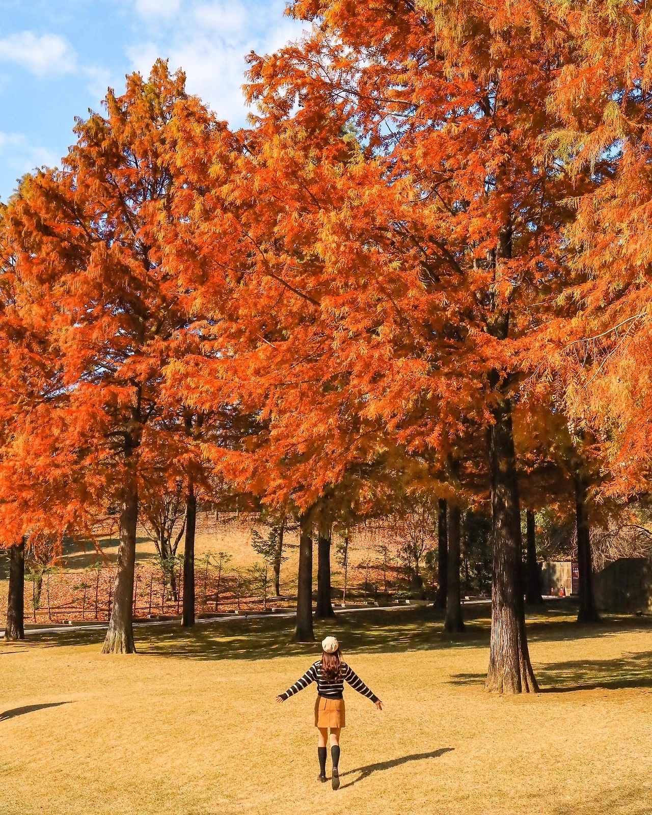 KakaoTalk_Photo_2024-09-07-17-35-25 004.jpeg