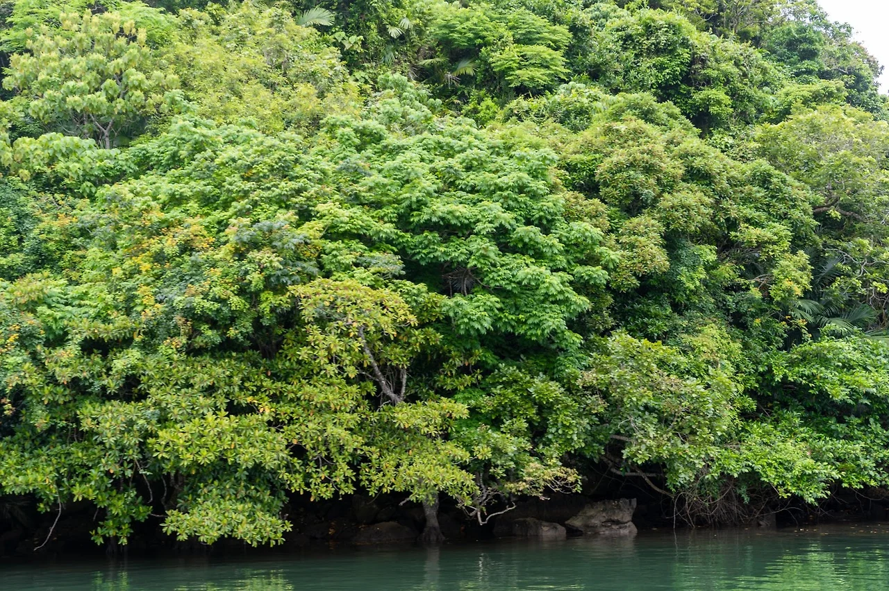 AD_4nXe1C-qH_KV8WrwWqogPhZkaYd2koCNbl0kaWKX3BeX1AAjfkgmZvA7a_tD_9pOlZvslwltfpAI_SMtw1O18Si5YVbykVIwl_vXeJxDQjKOiXSBNaaJwvPVTrWa3Z90E59bgXt9T?key=no2Ienb7MqGa4TE8uLF45OAD