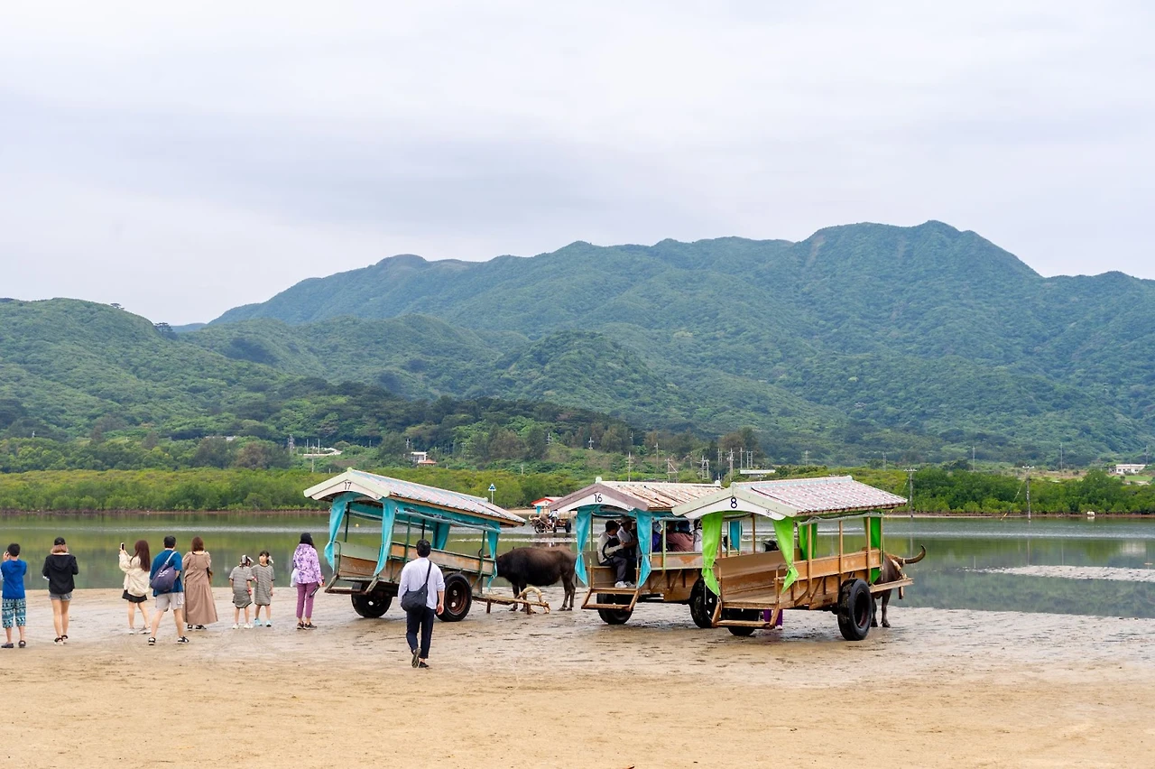 AD_4nXcIphIGYlvleMHSYbuUGuX7dTbC5cuiNtVIgtRbIvKzBigfGVgF0XLlpThfQ_V8KlG6dqE1LPDRlXyoXKveOvTuWNN5JGy0cHgraX4S9P7ni_Rm4sHKBycNyJ_BRgpGvUjFgSNniQ?key=no2Ienb7MqGa4TE8uLF45OAD