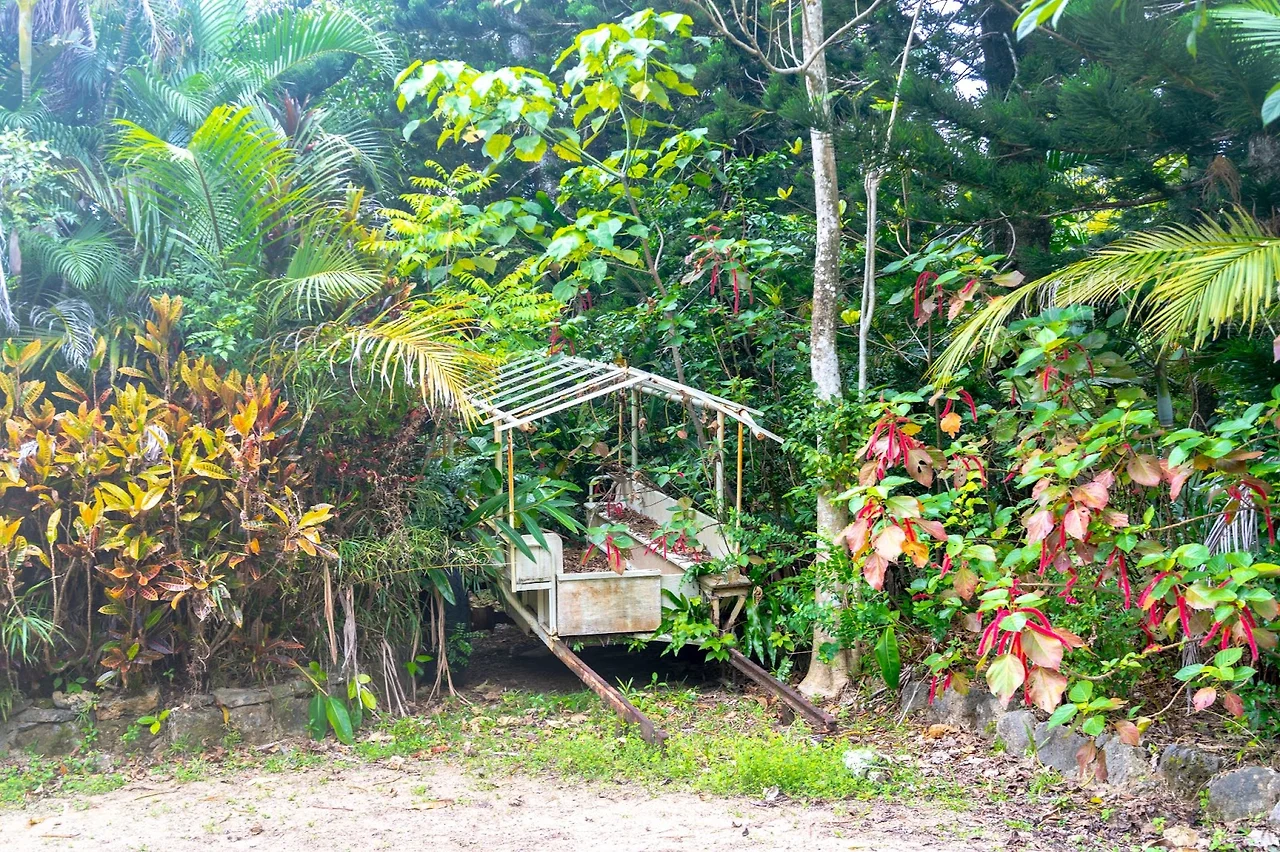 AD_4nXc8kMeVXtEXhZKoJ-ipE83abHrSpTwSCjWJ-oDvdouk51VJEtBsa9aZY6cyio2wHBqkOQYztEkr6_udwSRfd5dDounQ6Ua5dNBX3J6bcy73CpR5BaPFqNbwrzee5RoRIU4906cLbw?key=no2Ienb7MqGa4TE8uLF45OAD