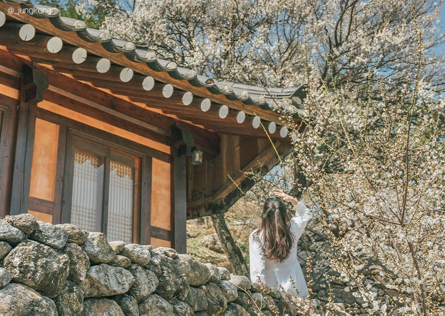 AD_4nXdoQDQGwR5WWys_fD_VbuLwB7PmtCNYF7HdzLbUaN8rLftKTuo0LnrOI5R3rEoe6hRWXnp8gkQ6v_fhZGMGymchfb12i2wS6tkW8a0mB5uaEZTXgxUObxnGsla11xkAeVNJ1Vra2g?key=fnsJTpEm4Zubfd0ePI8AEREY