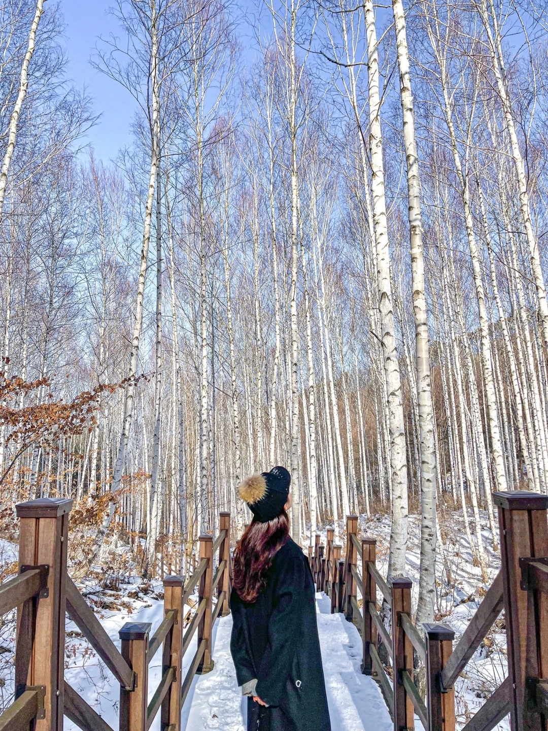 KakaoTalk_Photo_2023-01-01-23-43-57 001.jpeg