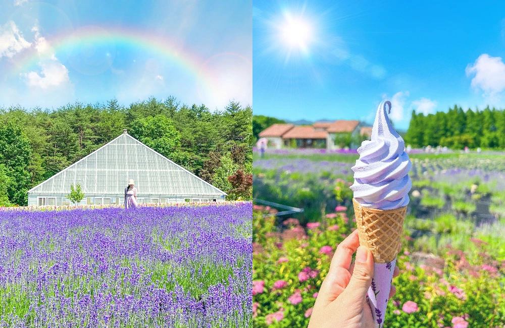 AD_4nXcBVWQurScwldGJd0fnU1JnmkXWiZ-0dtezzggq7sxqoHJJPdaVrVjeJkGpbR6yBpQC6yH8FBD_MwqywF3jBhEA25G80vLV9f64zWoM0IrjSfUIvQEOs8zYc5ZUulcmITu84I3XoA?key=srMPxCTEW1FMNM2Sp5oSCQ