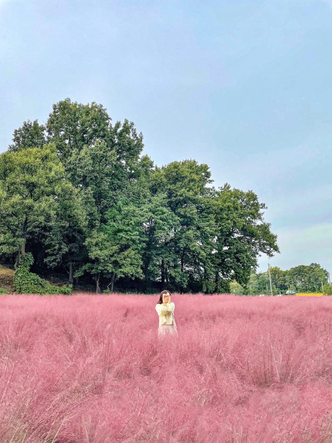 KakaoTalk_Photo_2022-11-02-20-12-49 003.jpeg