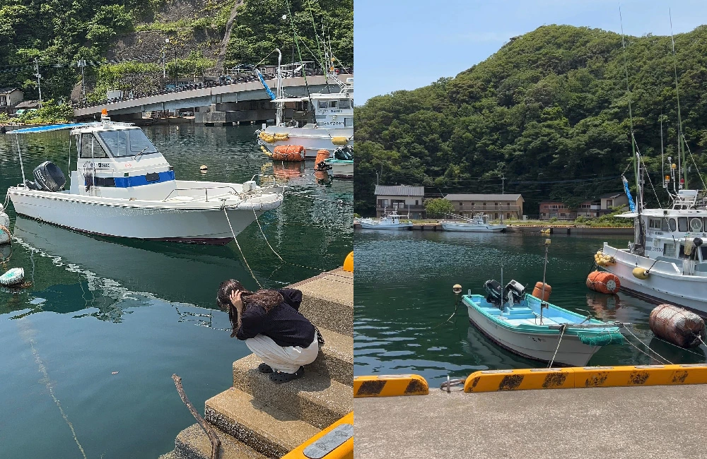 AD_4nXeCam9nXJGp6rVuPH3aJ9L2pSTi8MYcTmT-waomrTXNPkznpeejByZWnobR-F4hTL6T-Pus1ezwhipb0nxuDz6qct4-7FDNfocYxdHyjtP1PrOvfzcTd8mRdzI3nq1wcMphub7Hlw?key=6H8w2XS0_bTvKYjwOdZZlA