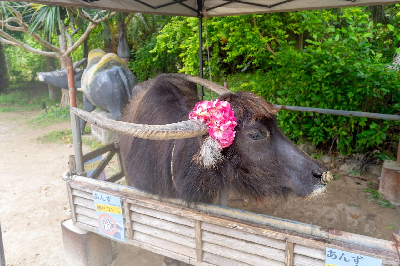 AD_4nXdxpoYW_cZHVXqjPheT_XTVMwsJDvvdeEc_cXXLEYsSm8dtdUjTLZ1fNkeDmhH18DZMQBk8oiDR2yLG8TFDTMd6gqsNFATguG-V-MSFnafewInWKqSP4GwB3m8Yy7-luyPZgraiEQ?key=no2Ienb7MqGa4TE8uLF45OAD