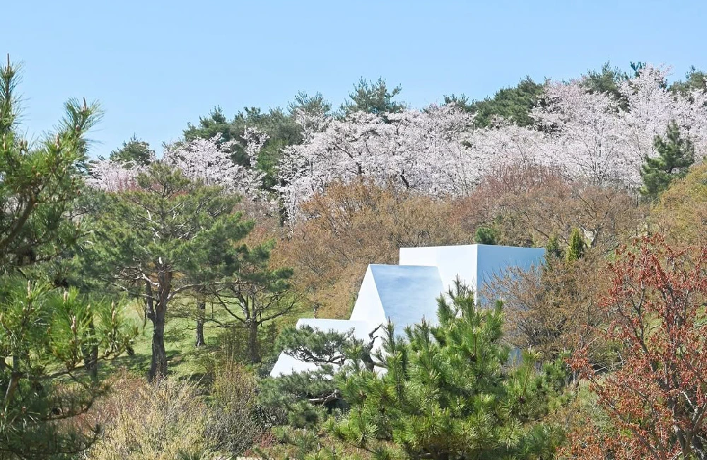 AD_4nXf1rfm4rvx6DKP9L-3xmTfuSguTRIBFaSv-Ifc6tmg2YSMr5a7W4A9buivy8IX87cqmrkl3qDGu3oF7lFPoQQCRm23KFONUzakVXY6UJlsZOYQY_TdizO8Q8uz3JEQGPqMoypejgg?key=-awj_OmRFTgeKcXXu5onSQ