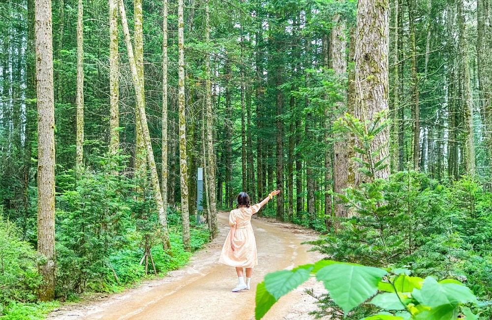 AD_4nXcf901svvQWeMUwOkZWMOf0n1xZx4OFJAcauY0kq0oeOivU4lmjsJW6nO65cSn4nBavZ08ub8MlvBTVKFPXcNn_Xd0lGdhTYCxCtWLP0dHWfi2YRhyBI7qh8BGoX7mfspFroQZ9bA?key=npbHg1R0fhR_o-3Km7W2lg