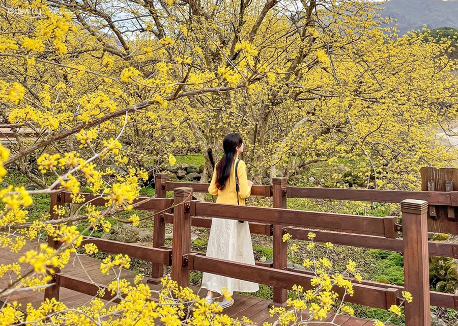 AD_4nXfBUNR6ZfZJ6_Oz_C0rA-to68IY8C2lgF-4TnO-j7V8rQtxv0OKMotGT1tmYkA9-SG2ofLSO6qbnv-wBF3li1mFK7p-vSUCwIB1hrEd49VFDgteTZuGmhEwn_2Gt_hJmA-Isuqwng?key=fnsJTpEm4Zubfd0ePI8AEREY