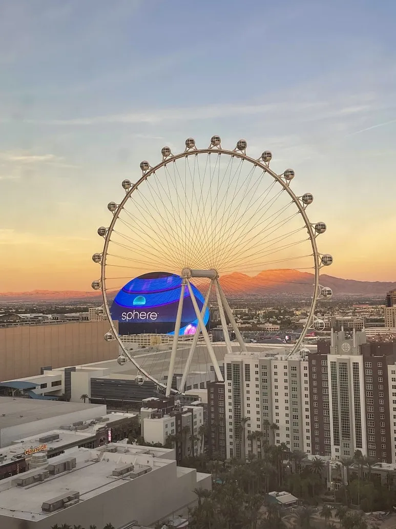 KakaoTalk_20241218_145947460.jpg?type=w773