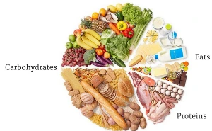 2025-01-16 12;44;11.PNG