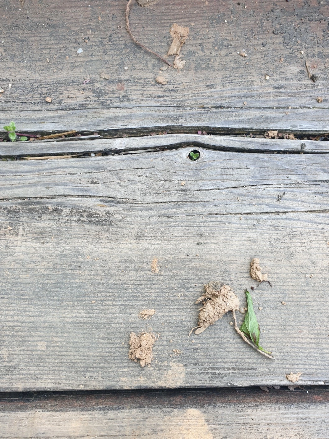 KakaoTalk_Photo_2025-04-25-15-41-47 002.jpeg