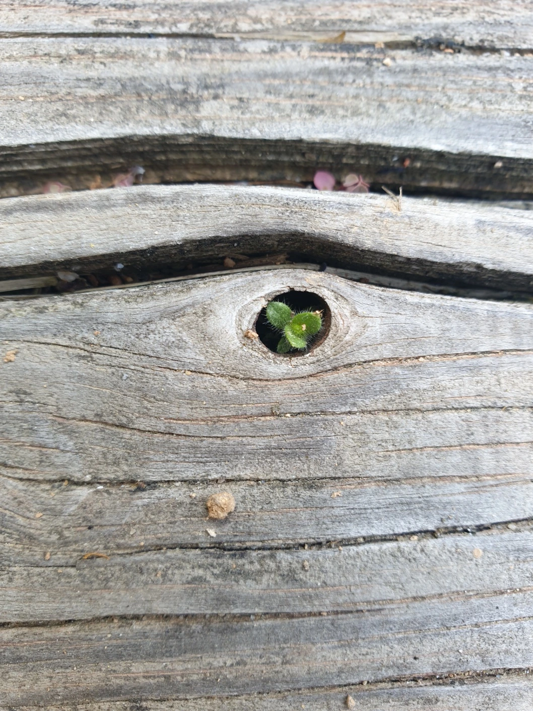 KakaoTalk_Photo_2025-04-25-15-41-47 004.jpeg