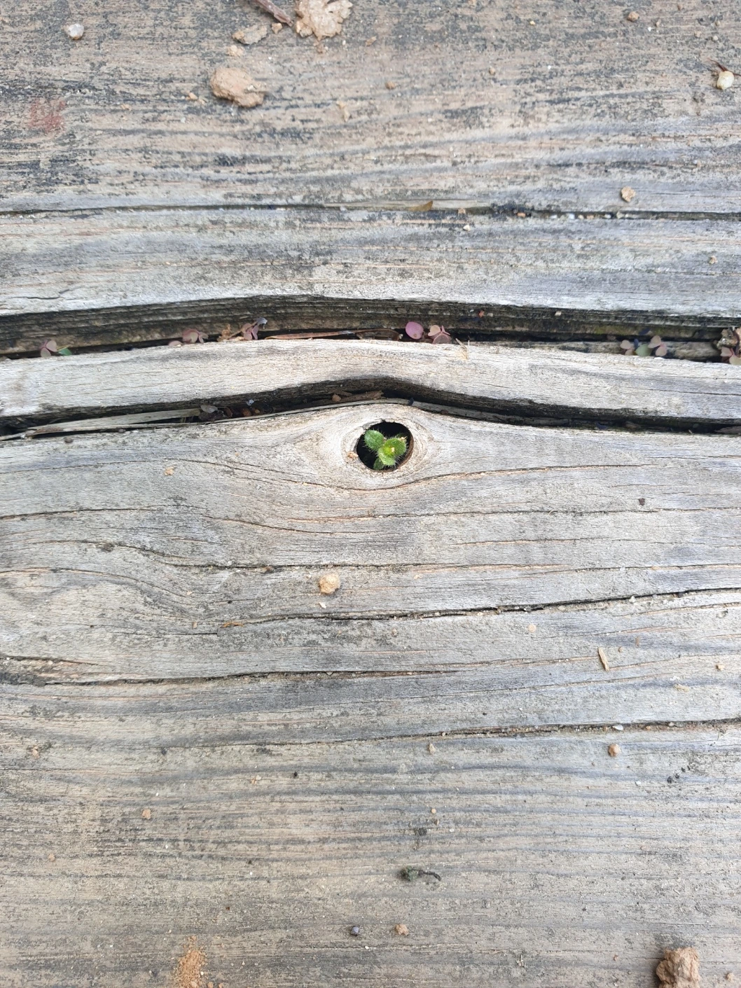 KakaoTalk_Photo_2025-04-25-15-41-47 003.jpeg