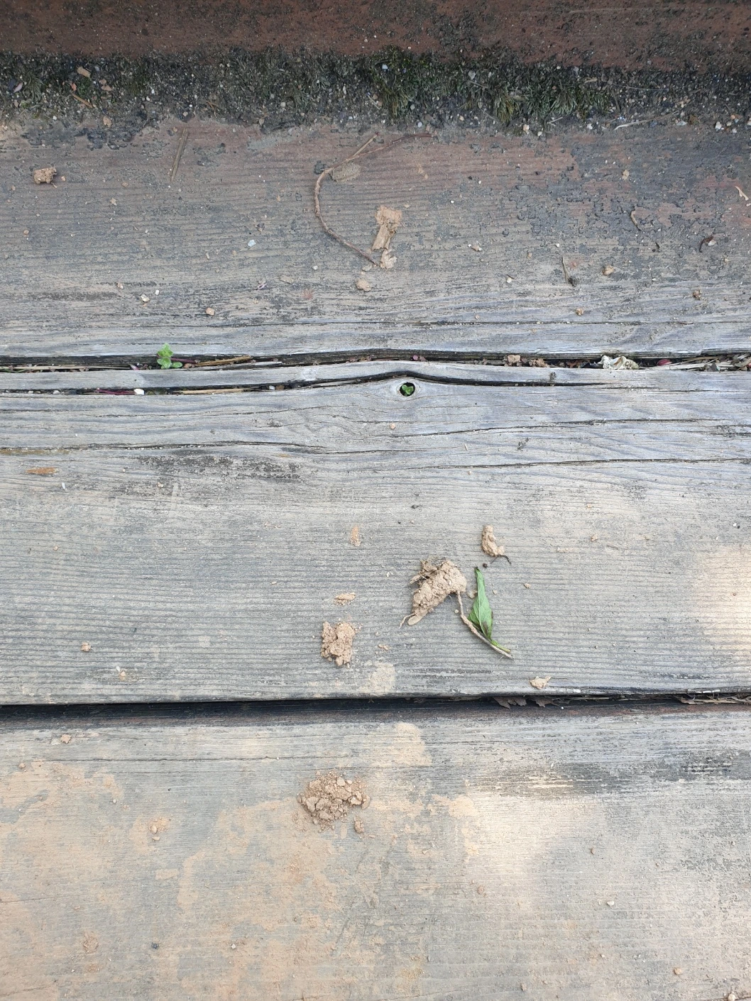 KakaoTalk_Photo_2025-04-25-15-41-47 001.jpeg