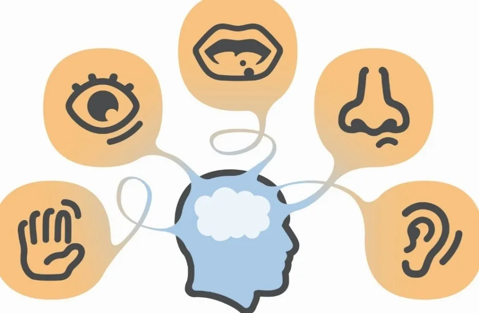 %EA%B0%90%EA%B0%81.jpg?type=w1