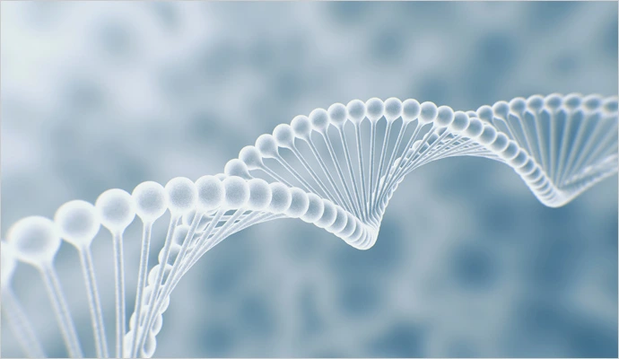 img.jpg?credential=yqXZFxpELC7KVnFOS48ylbz2pIh7yKj8&expires=1759244399&allow_ip=&allow_referer=&signature=qYPuH4p0Eqf%2FiCKG56ghWGP%2BLFY%3D