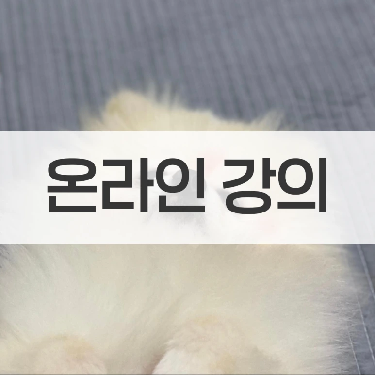 %EB%B6%80%EC%82%B0_%ED%8F%89%EC%83%9D%EA%B5%90%EC%9C%A1%EC%9B%90_(4).png?type=w773