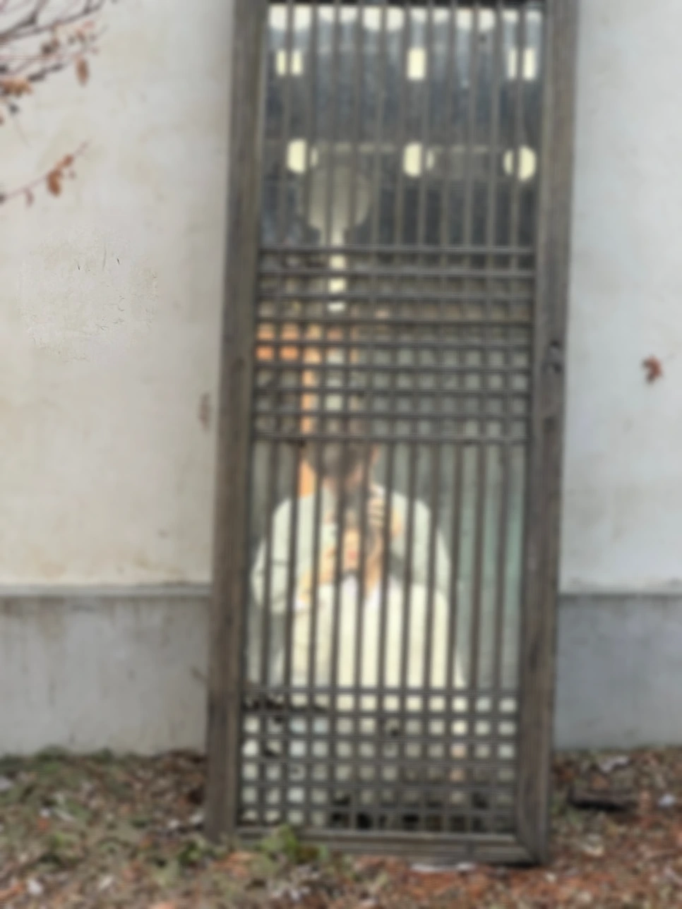 SE-8aa9f36b-d8fe-4c5f-b774-9fe8ab69c170.jpg?type=w966