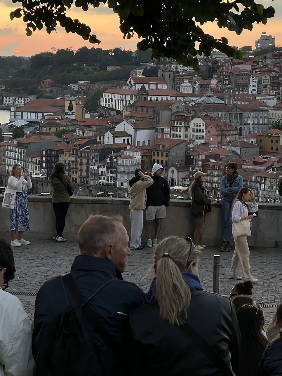 KakaoTalk_20240529_193526259.jpg?type=w966