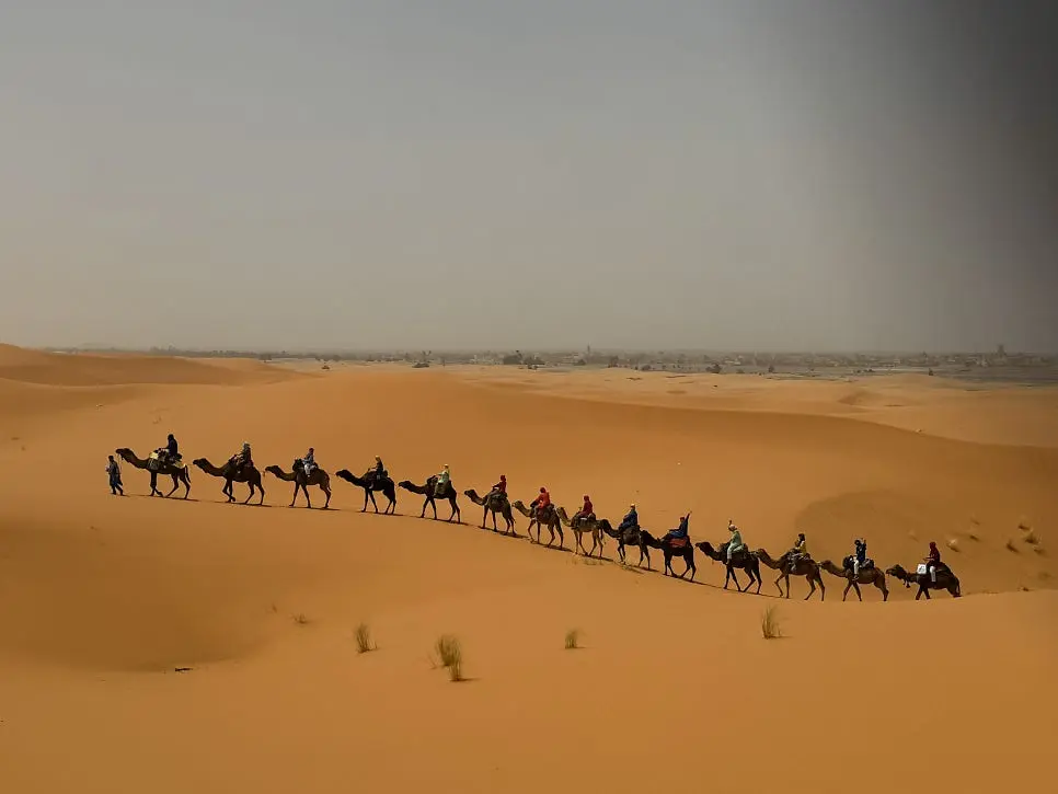 KakaoTalk_20240529_190337887.jpg?type=w966