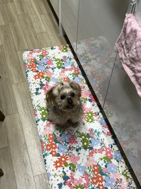 IMG_2296.jpg?type=w466