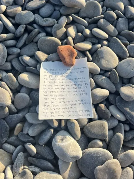 IMG_5333.jpg?type=w466