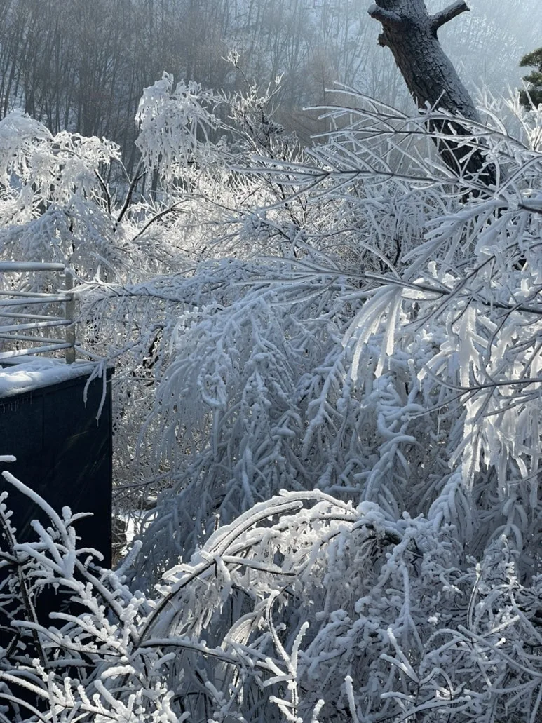 IMG_7961.jpg?type=w773