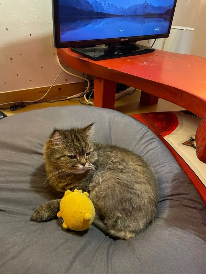 KakaoTalk_20230612_125641580_04.jpg?type=w773