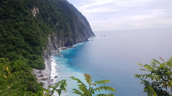 99E5814F5B59C22D08.jpg?type=w773