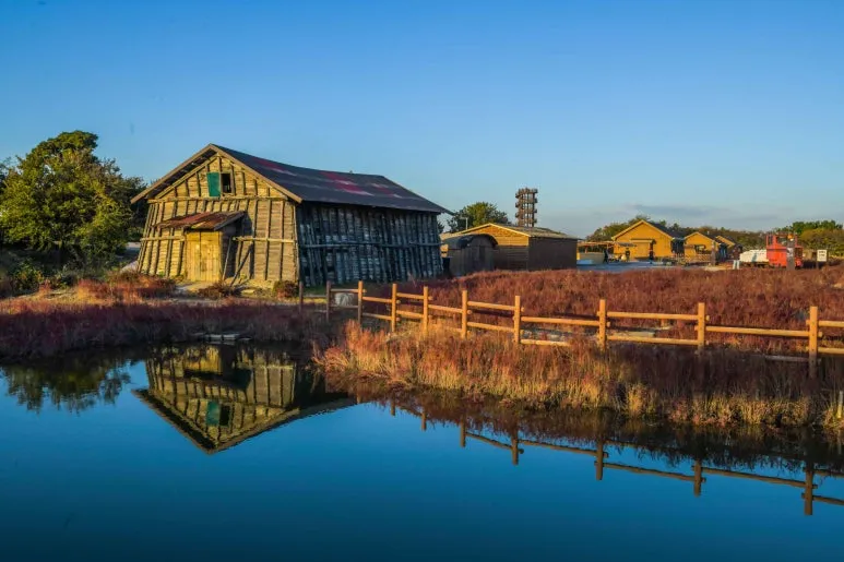 Type1_%EC%8B%9C%ED%9D%A5_%EA%B0%AF%EA%B3%A8%EC%83%9D%ED%83%9C%EA%B3%B5%EC%9B%90_%EB%91%90%EB%93%9C%EB%A6%BC_DvOcUa.jpg?type=w773